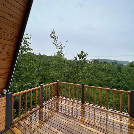 Hotel Queen City & Bungalov *