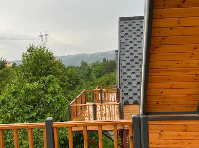 Queen City & Bungalov