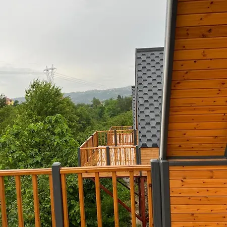 Queen City & Bungalov